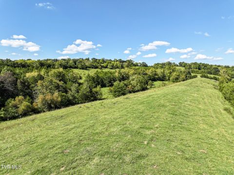 Tiny photo for 2 Union Road, Greeneville, TN 37745 (MLS # 9986410)