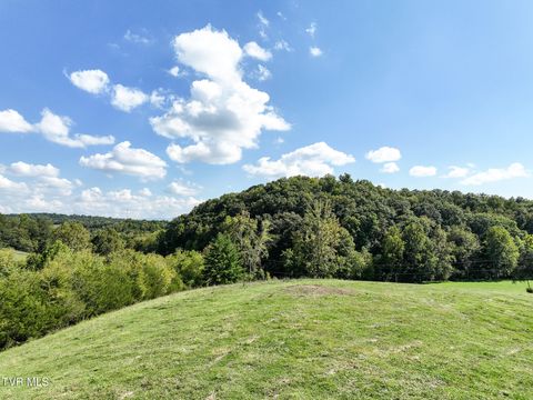 Tiny photo for 2 Union Road, Greeneville, TN 37745 (MLS # 9986410)