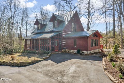 Photo of 319 Ivy Wood Lane, Mountain City, TN 37683 (MLS # 9991816)