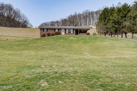 Homes For Sale - 1215 Old Boones Creek Road<br/> Washington County, Jonesborough, TN 37659