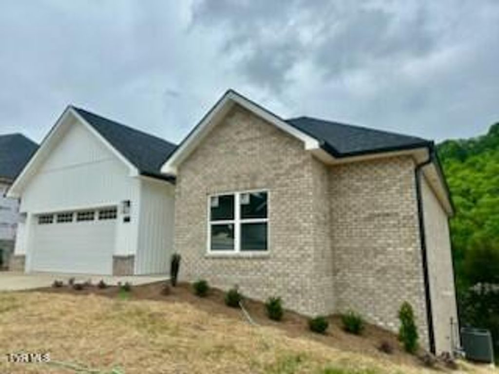 Photo of 131 Quiet Stroll Lane, Gray, TN 37615 (MLS # 9995013)