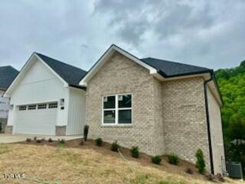 131 Quiet Stroll Lane Gray TN 37615