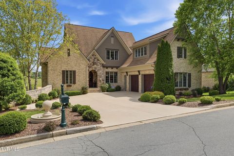 Photo of 165 Laurel Ridge Drive, Jonesborough, TN 37659 (MLS # 9995644)
