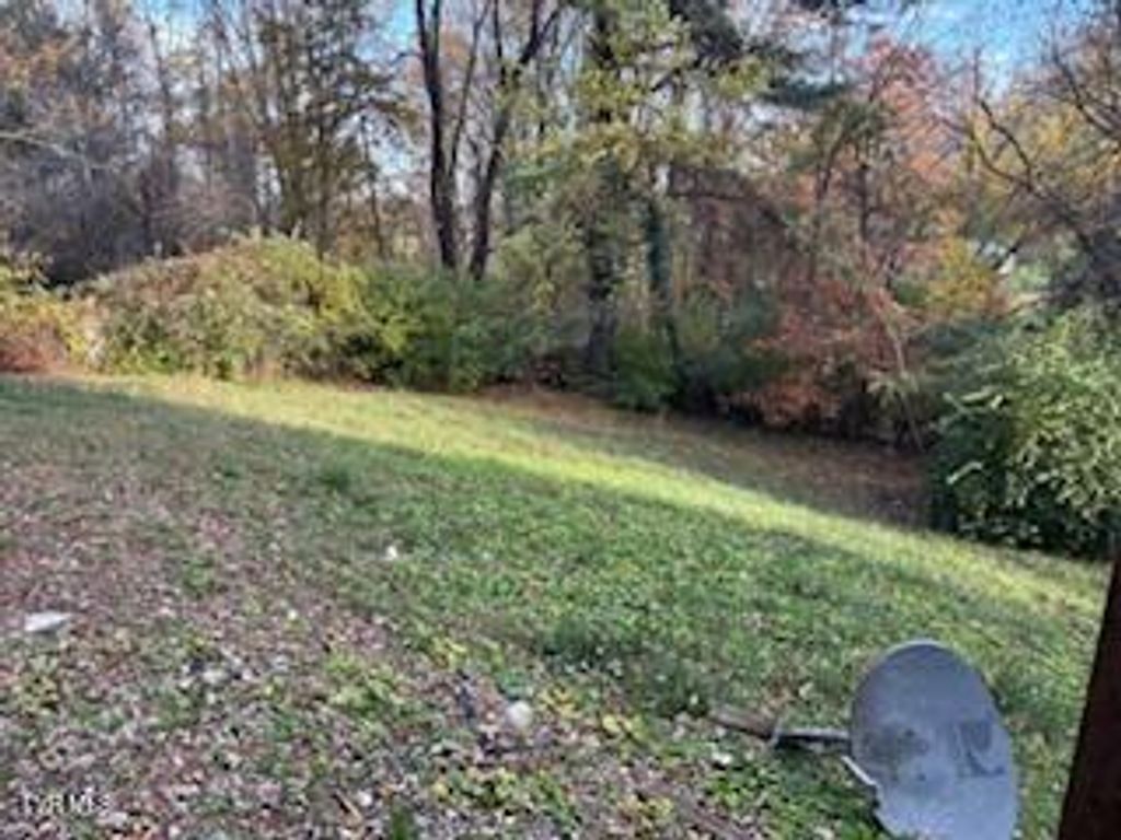 Photo of 16197 Baytree Road, Bristol, VA 24202 (MLS # 9988026)