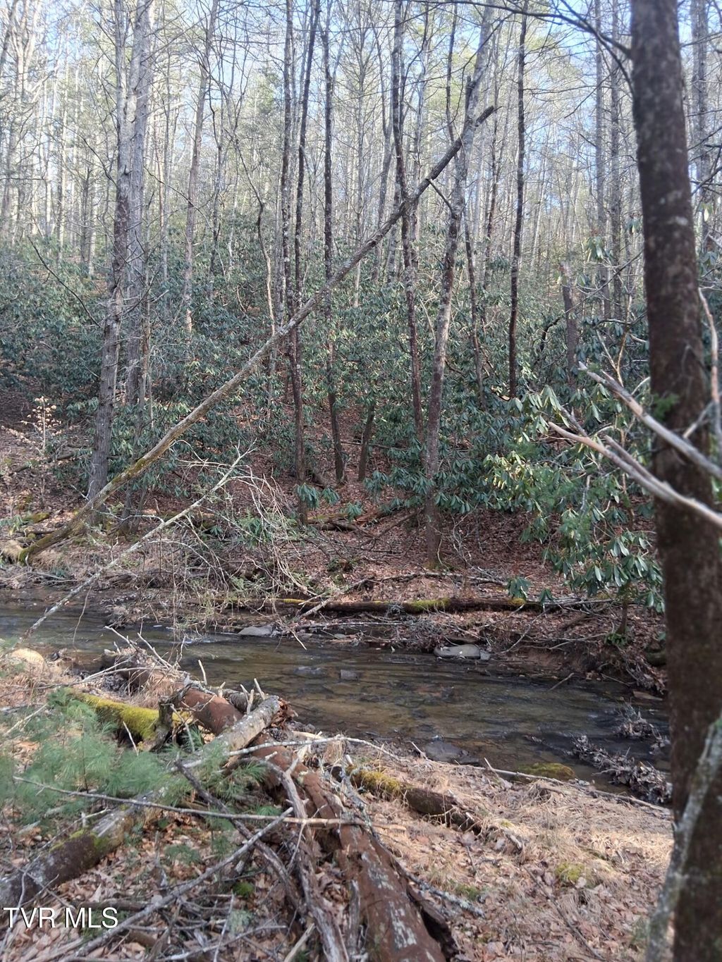 Photo of Tbd Gullion Fork Road, Wytheville, VA 24382 (MLS # 9992049)