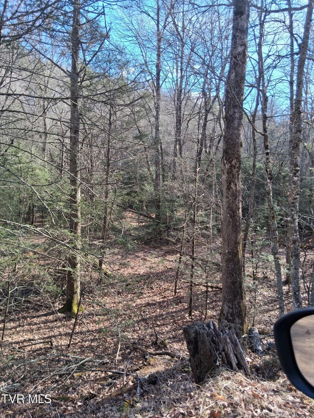 Photo of Tbd Gullion Fork Road, Wytheville, VA 24382 (MLS # 9992049)
