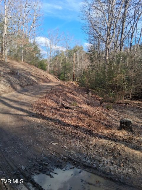 Vacant Land For Sale - TBD Gullion Fork Road<br/> Wythe County, Wytheville, VA 24382