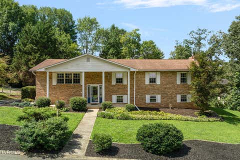 Photo of 1207 Rambling Court, Greeneville, TN 37743 (MLS # 9999797)