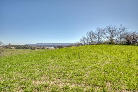 Photo of 867 Highway 44 #Lot 12, Bristol, TN 37620 (MLS # 9995397)