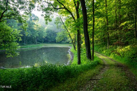 Vacant Land For Sale - 502/AC Tbd Gregory Road<br/> Hancock County, Sneedville, TN 37869
