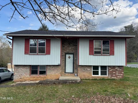 350 Mountain View Drive Hampton TN 37658