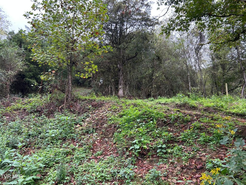 Photo of 1200 Jackson Hollow Road, Mosheim, TN 37818 (MLS # 9986299)