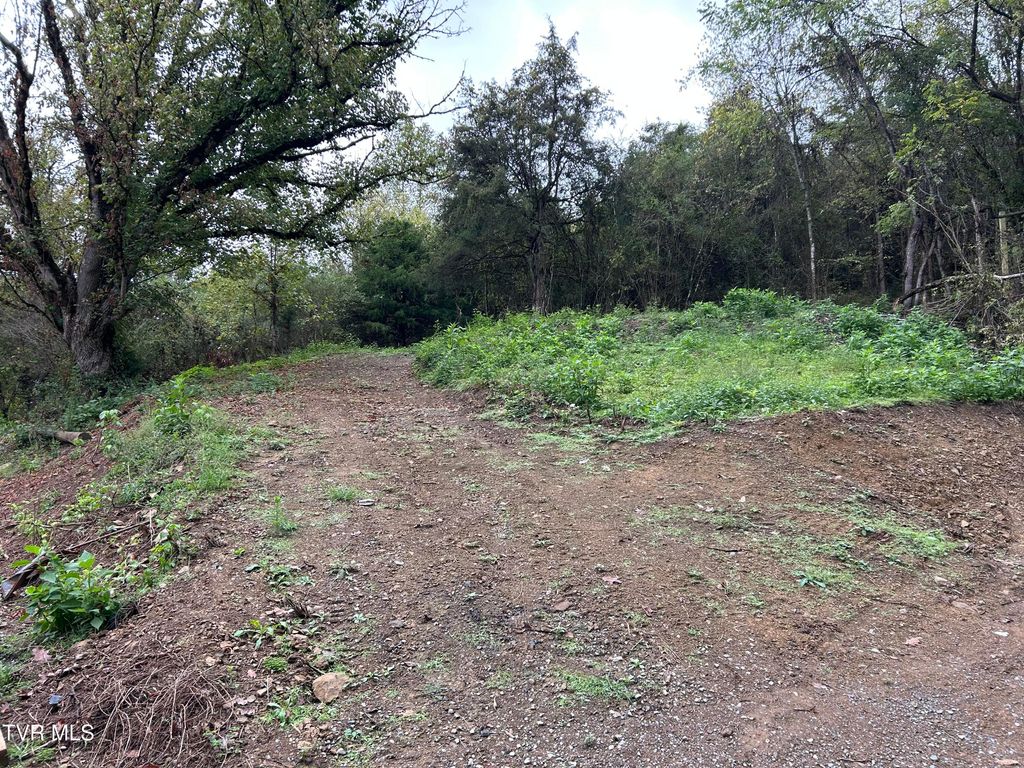 Photo of 1200 Jackson Hollow Road, Mosheim, TN 37818 (MLS # 9986299)