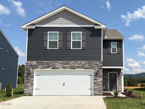 Homes For Sale - 74 Ollie Street St<br/> Johnson City, TN 37615