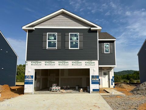 Photo of 74 Ollie Street St, Johnson City, TN 37615 (MLS # 9992266)