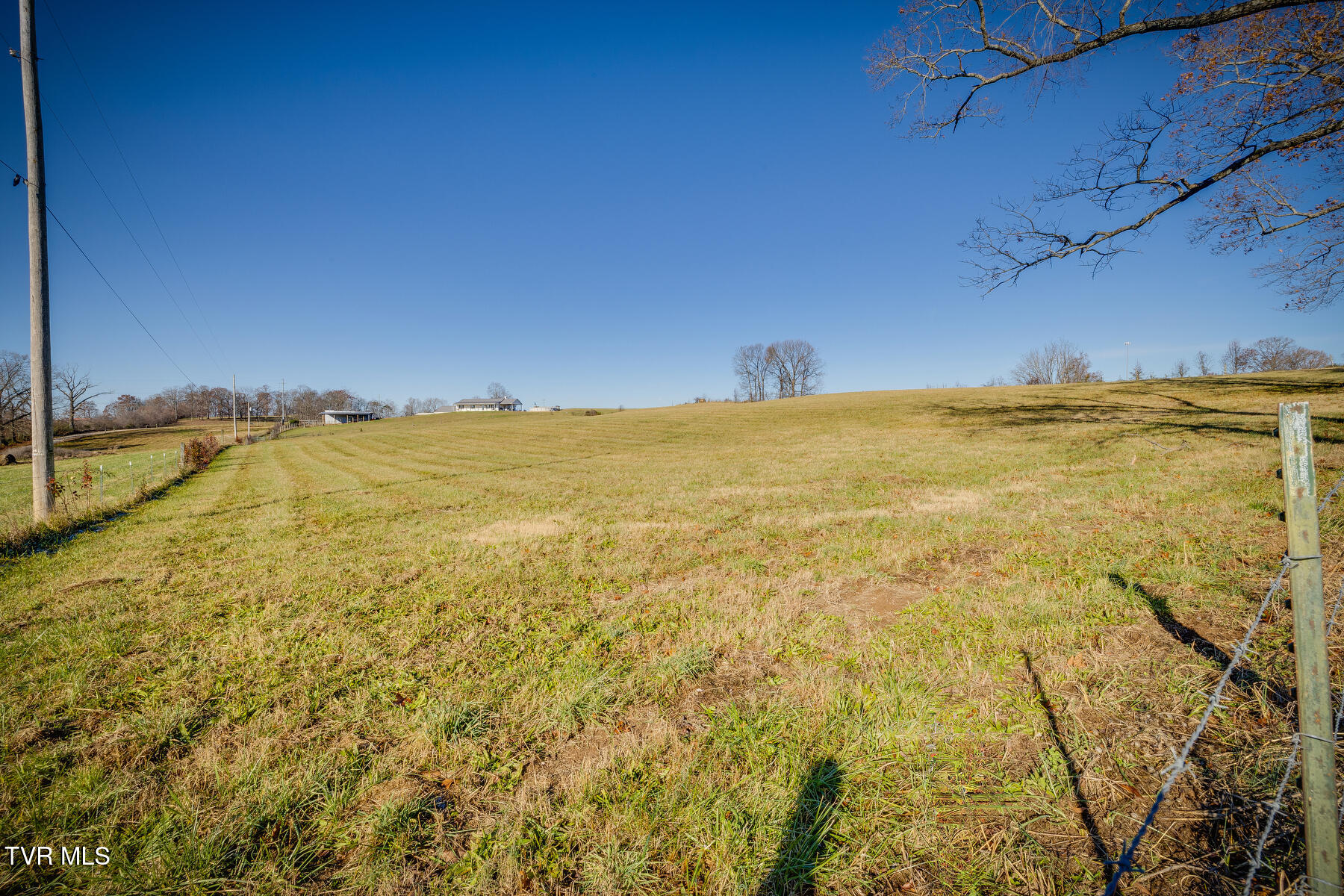 320 Marcella Drive, Mosheim, Tennessee image 3
