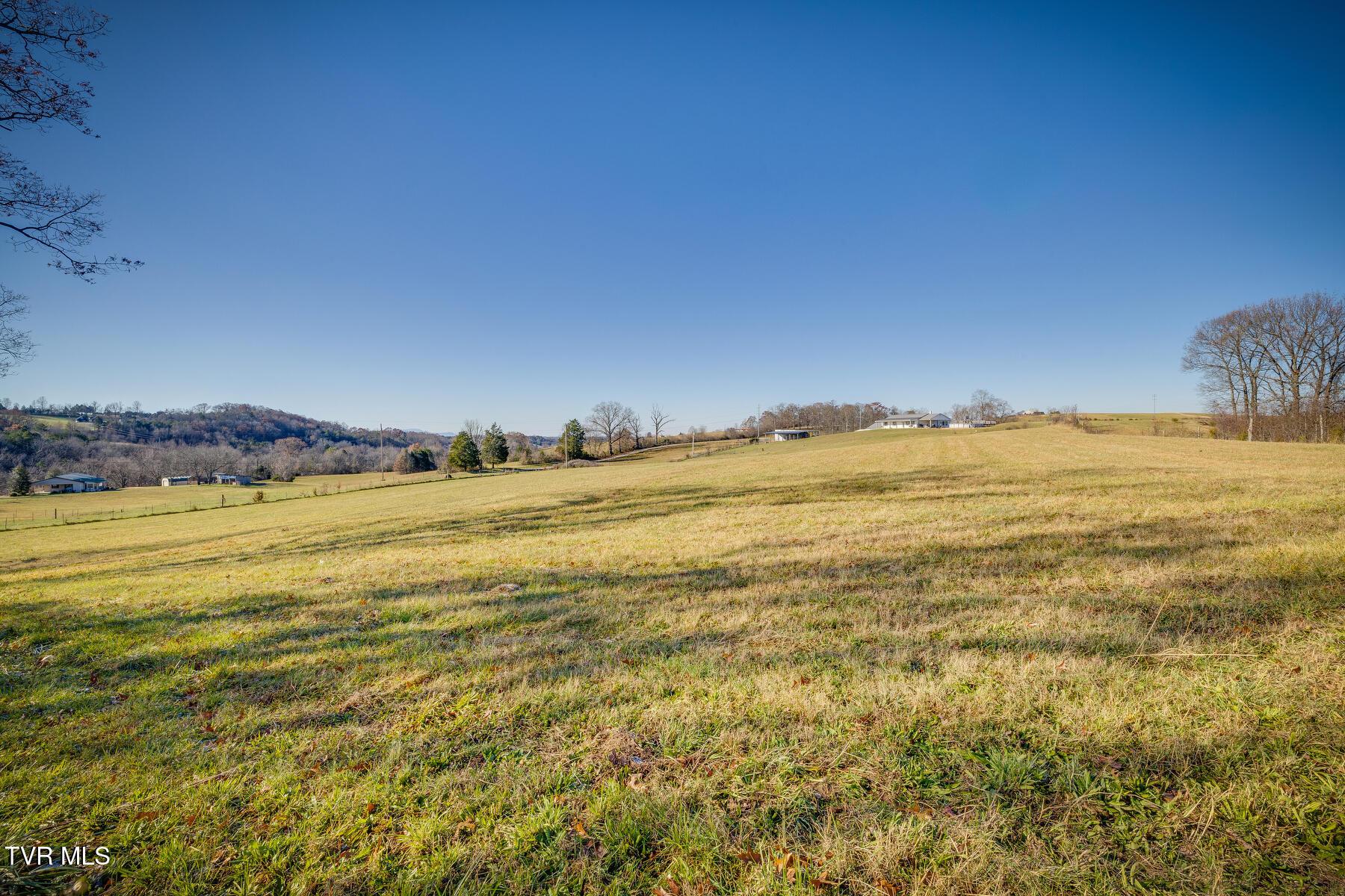 320 Marcella Drive, Mosheim, Tennessee image 4