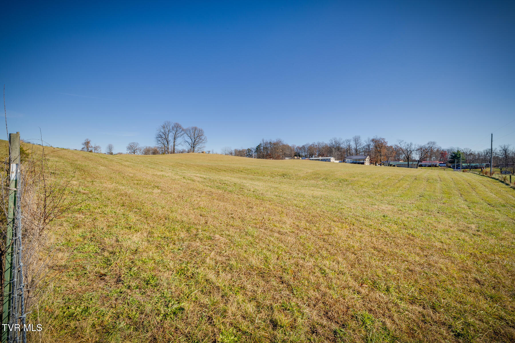 320 Marcella Drive, Mosheim, Tennessee image 2