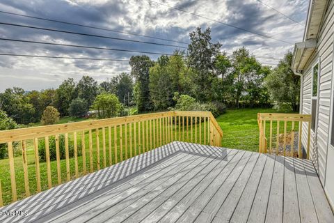 Tiny photo for 21081 Lyers Lane, Damascus, VA 24236 (MLS # 9985996)
