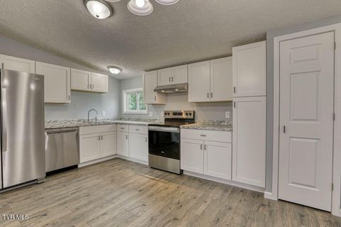 Tiny photo for 21081 Lyers Lane, Damascus, VA 24236 (MLS # 9985996)