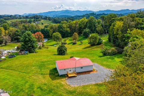 Tiny photo for 21081 Lyers Lane, Damascus, VA 24236 (MLS # 9985996)