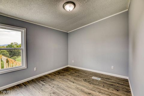 Tiny photo for 21081 Lyers Lane, Damascus, VA 24236 (MLS # 9985996)