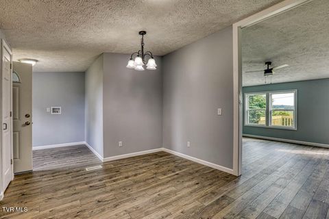 Tiny photo for 21081 Lyers Lane, Damascus, VA 24236 (MLS # 9985996)
