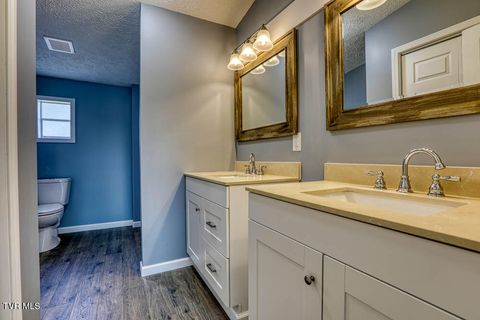 Tiny photo for 21081 Lyers Lane, Damascus, VA 24236 (MLS # 9985996)