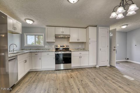 Tiny photo for 21081 Lyers Lane, Damascus, VA 24236 (MLS # 9985996)