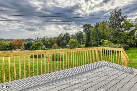 Tiny photo for 21081 Lyers Lane, Damascus, VA 24236 (MLS # 9985996)