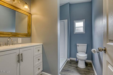 Tiny photo for 21081 Lyers Lane, Damascus, VA 24236 (MLS # 9985996)