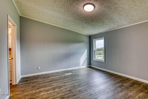 Tiny photo for 21081 Lyers Lane, Damascus, VA 24236 (MLS # 9985996)