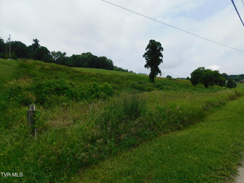 Photo of 0 Mt Carmel Road, Mosheim, TN 37818 (MLS # 9997894)