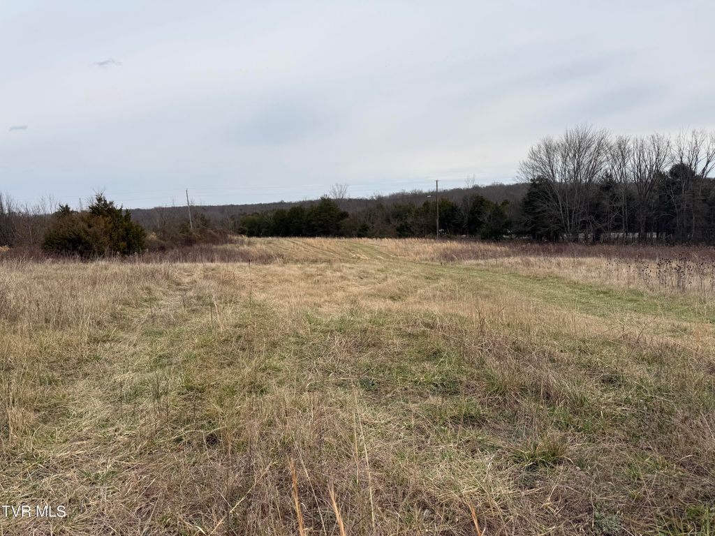 Photo of Tbd Bernard Road, Greeneville, TN 37743 (MLS # 9990146)