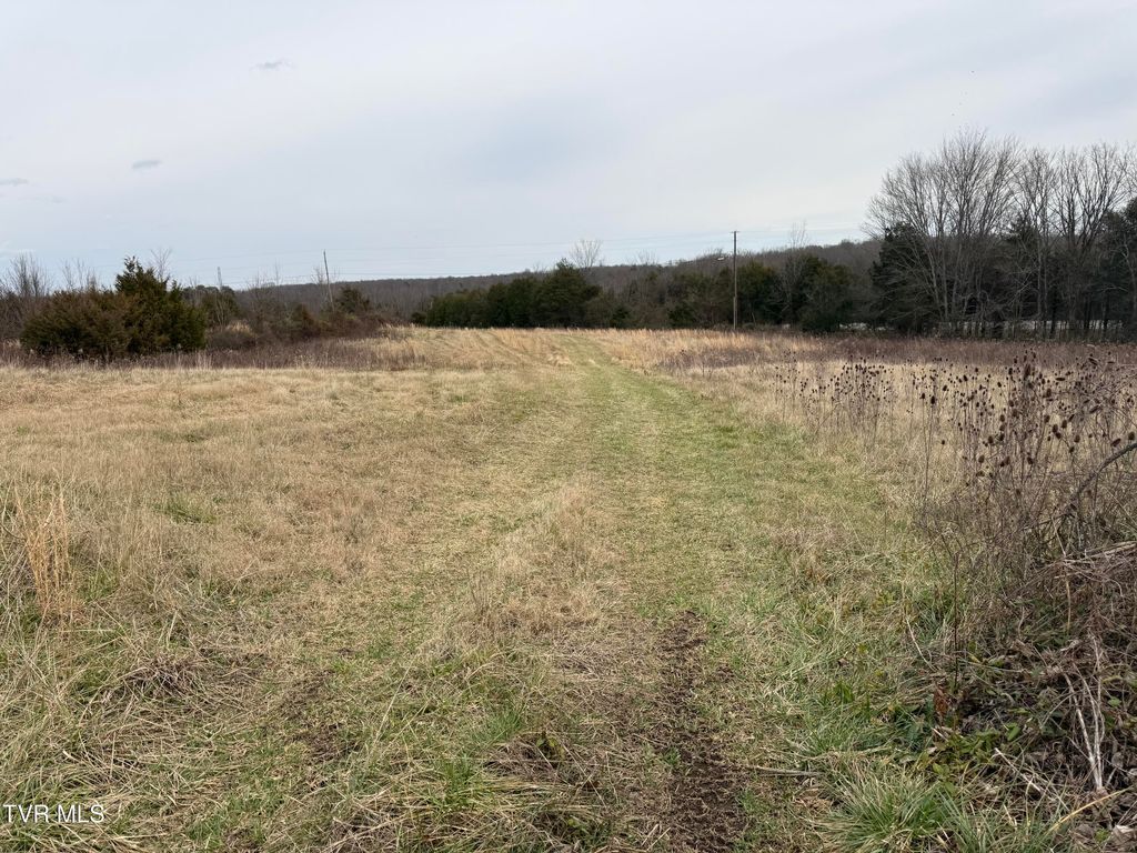 Photo of Tbd Bernard Road, Greeneville, TN 37743 (MLS # 9990146)