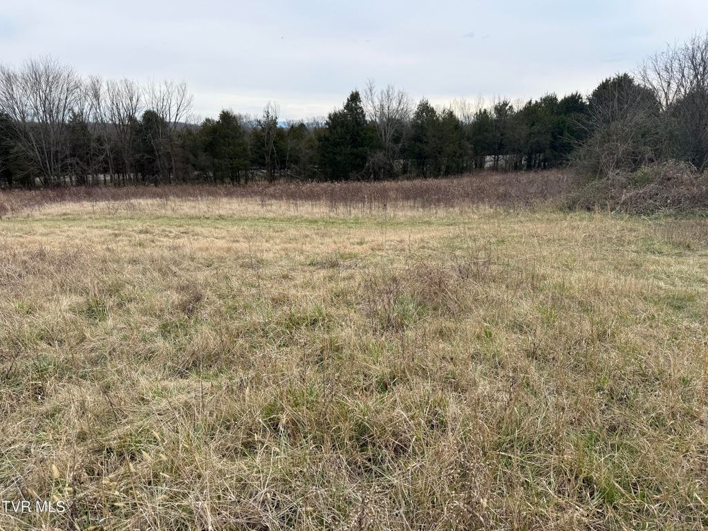 Photo of Tbd Bernard Road, Greeneville, TN 37743 (MLS # 9990146)