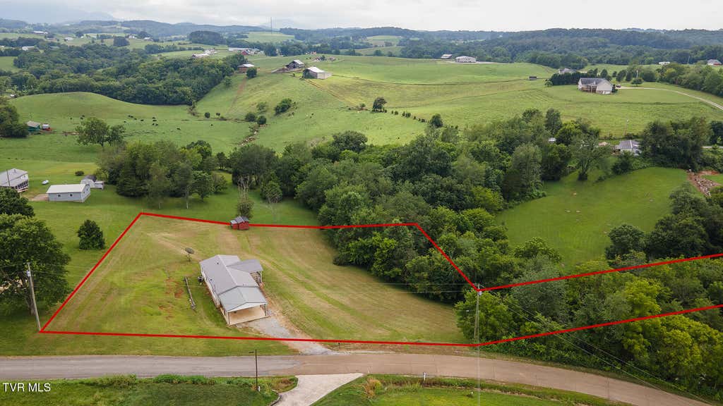 Photo of 172 Astor Bowers Road, Greeneville, TN 37743 (MLS # 9998867)