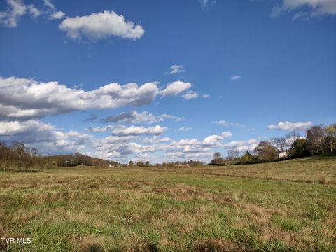 Vacant Land For Sale - TBD Springfield Drive<br/> Meadowview, VA 24361