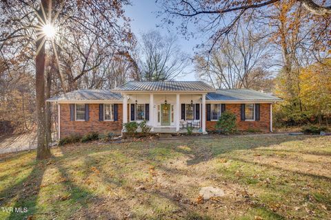 Photo of 516 Bramblewood Drive, Mount Carmel, TN 37645 (MLS # 9988308)