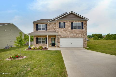 806 Barley Loop Jonesborough TN 37659