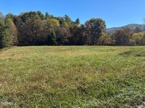 Vacant Land For Sale - 703 Locust Gap Road<br/> Johnson County, Mountain City, TN 37683