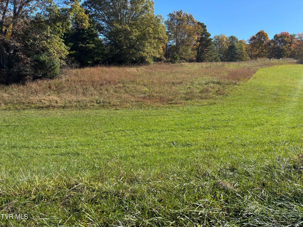 Photo of 703 Locust Gap Road, Mountain City, TN 37683 (MLS # 9987047)