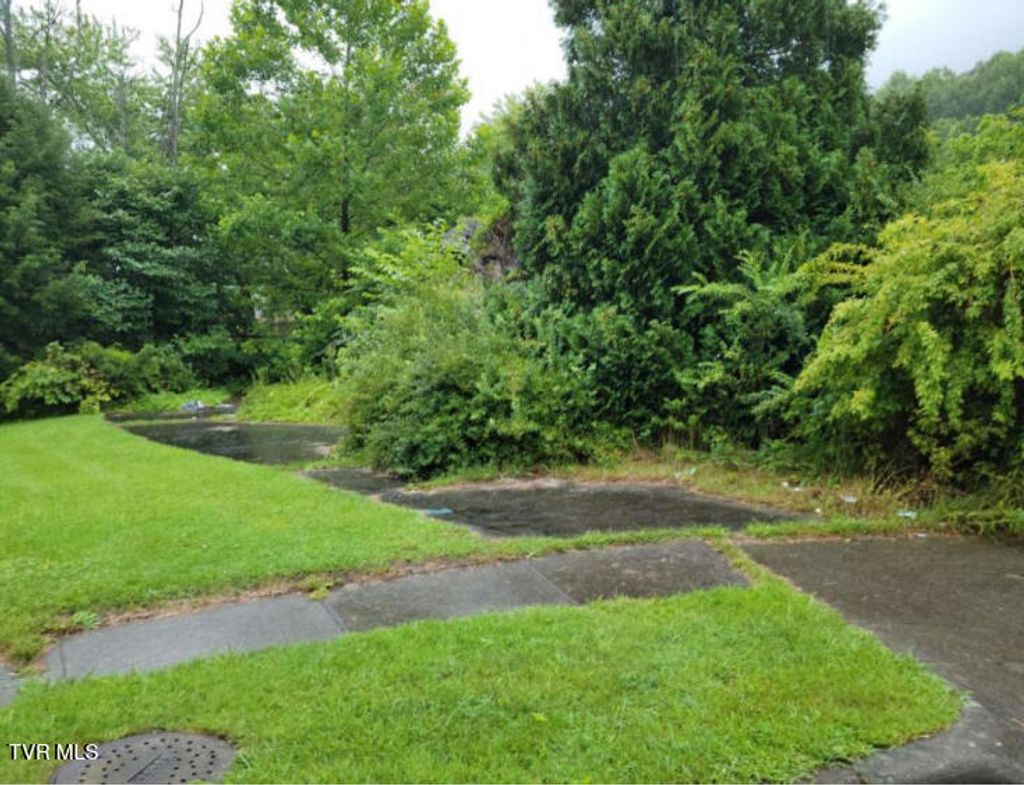 Photo of 103 Locust Avenue, Norton, VA 24273 (MLS # 9984987)