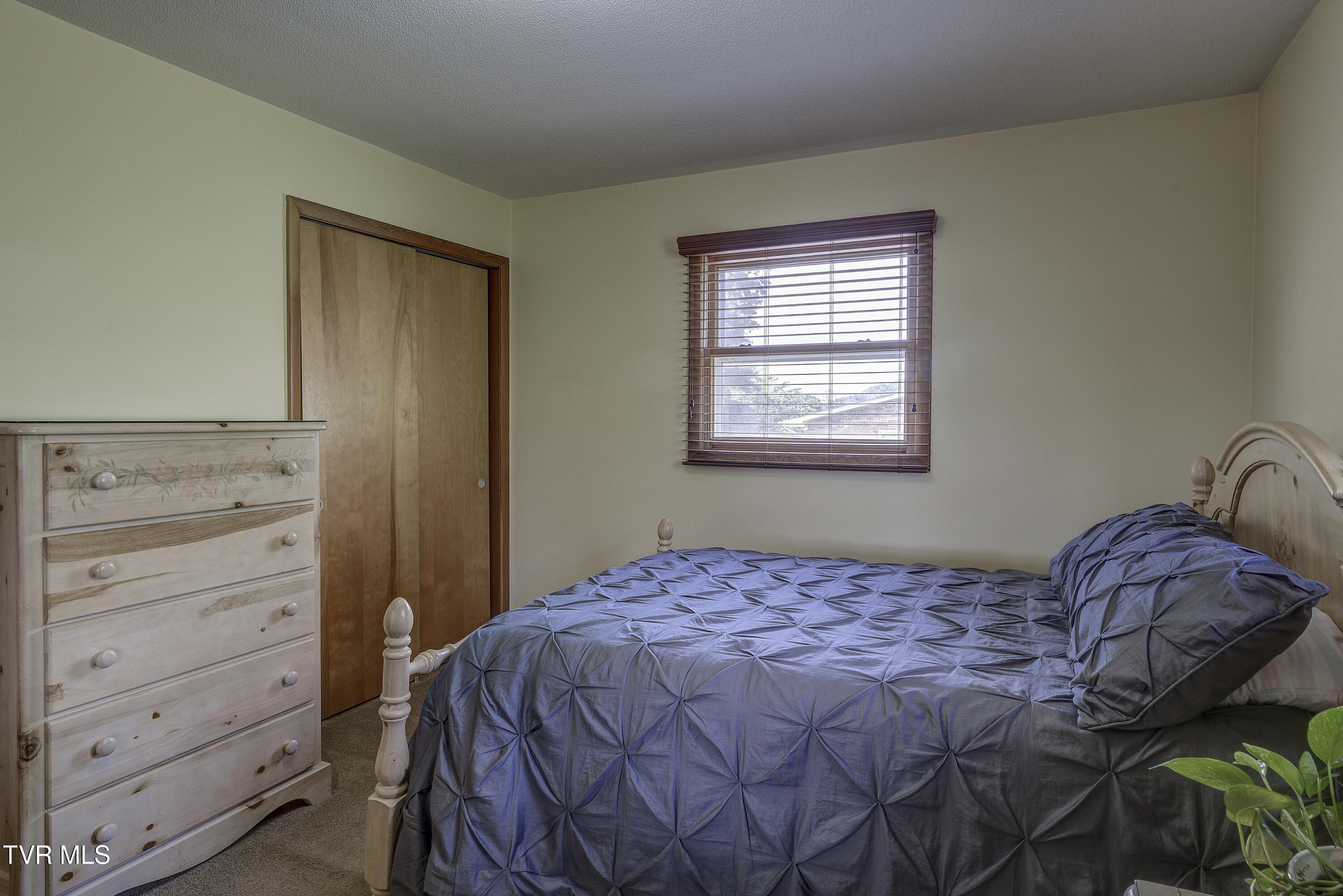 296 Redstone Drive, Bluff City, Tennessee image 26
