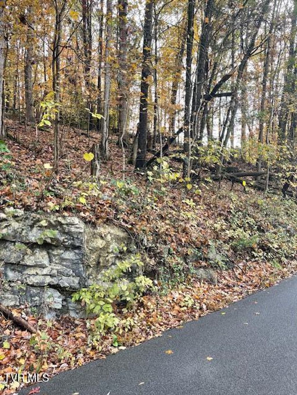 Photo of Tbd Lloyds Chapel Road, Church Hill, TN 37642 (MLS # 9987687)
