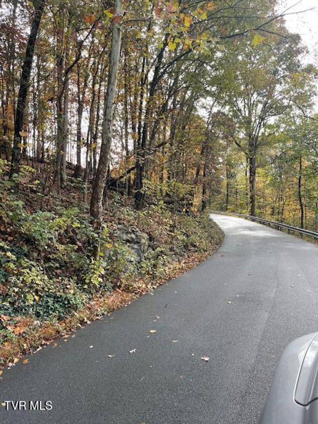 Photo of Tbd Lloyds Chapel Road, Church Hill, TN 37642 (MLS # 9987687)