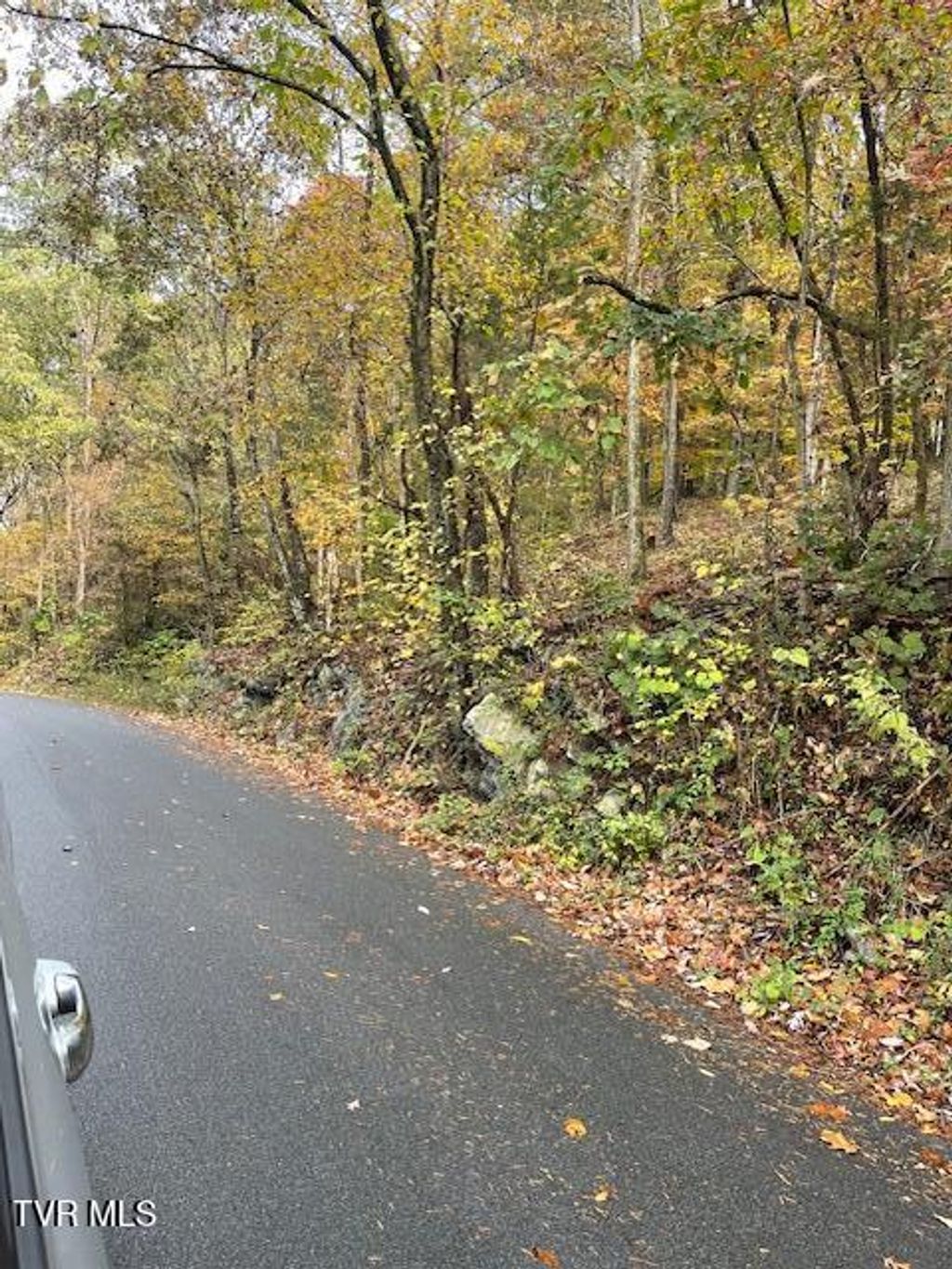 Photo of Tbd Lloyds Chapel Road, Church Hill, TN 37642 (MLS # 9987687)