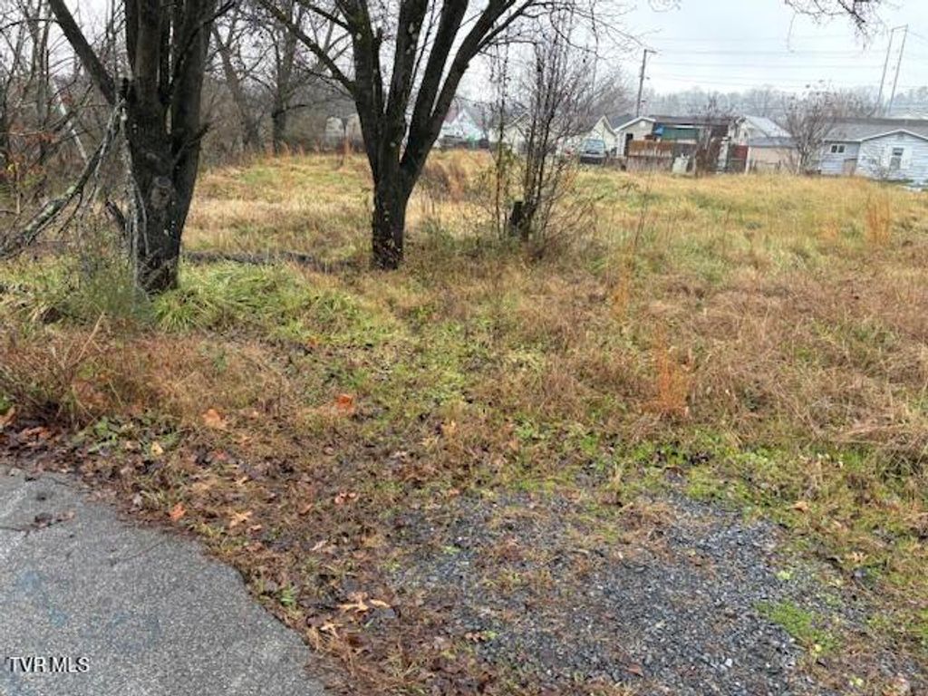 Photo of 221 Cedar Street, Kingsport, TN 37660 (MLS # 9991127)