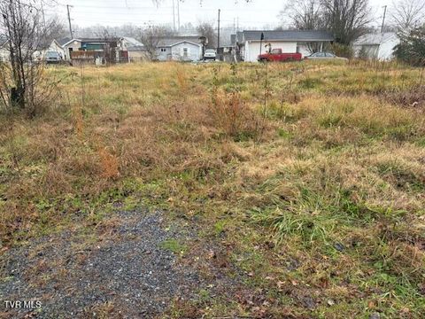 Vacant Land For Sale - 221 Cedar Street<br/> Kingsport, TN 37660