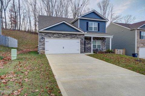 Photo of 2472 Bridgeforth Crossing, Kingsport, TN 37664 (MLS # 9989130)